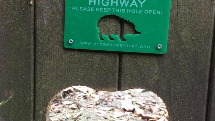 Sign stating please keep this hole open for hedgehog highway located above a cut out hole in the wooden fence
