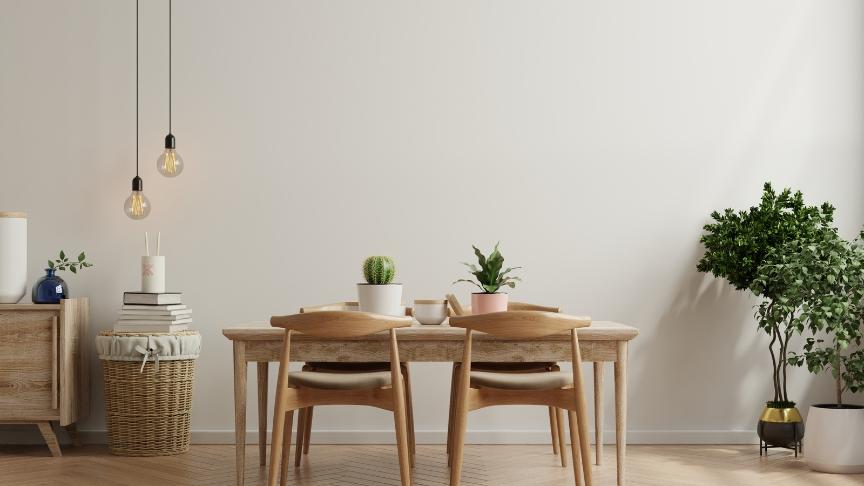 A minimal room with a dining table and green indoor plants